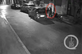 只因路过时多看了一眼 男子盗走6棵“黑塔子”盆景图片