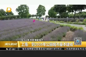 上海：到2035年公园城市基本建成视频封面