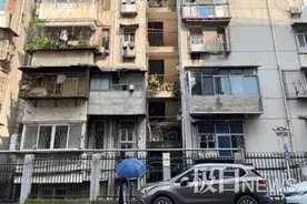 6楼阳台上长出两棵大树，邻居吓坏！原因令人意外图片