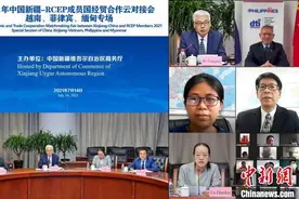 中国新疆与菲律宾等RCEP成员国经贸合作“云对接”图片