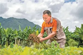为村民养老 助女孩学业图片
