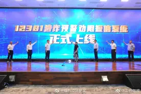 注意！当你收到这个号码发送的短信，说明你正遭受“网络诈骗侵害”图片