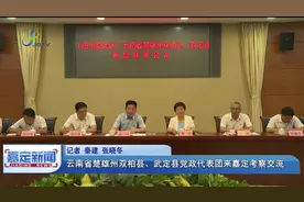 云南省楚雄州双柏县、武定县党政代表团来嘉定考察交流视频封面