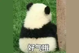 早报超有料丨《盛夏未来》张子枫吴磊CP感拉满《怒火·重案》甄子丹谢霆锋动作戏曝光图片