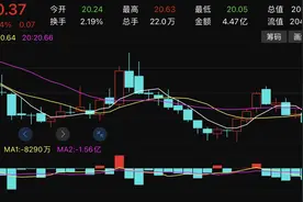 防护手套未来还卖得动吗？蓝帆医疗半年盈利大涨逾4倍，股价近一年却跌了40%图片