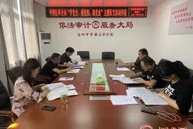 信阳市平桥区审计局开展系列活动深化党史学习教育图片