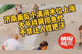 情报站｜济南小清河畔大爷组团捞鱼，刺激又惊险让人捏把汗图片