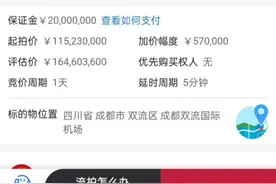 “隐秘富豪”私人飞机湾流G550拍卖估价过亿 无人问津一拍流拍图片