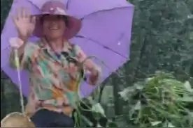 路遇老夫妇雨中干农活，山东一女子下车送上两把伞，网友：你递伞的样子真美图片