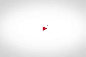 视频｜慕了！成都摄影爱好者在宝兴偶遇野生大熊猫图片