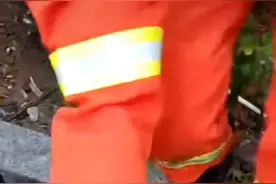 小奶狗被卡石缝，安徽消防员把它救出送到妈妈身边图片