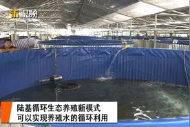在大棚里养鱼，不信你来看视频封面