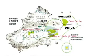 保护野骆驼，从卫星定位开始 | 观天测地图片