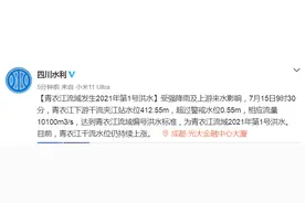 四川青衣江流域发生2021年第1号洪水图片