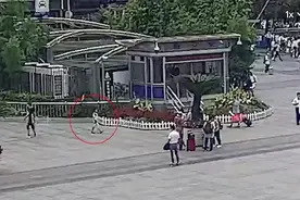 和妈妈走散后 6岁男孩上演教科书式报警图片