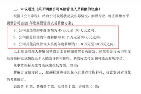 业绩连续三年下行还要给总经理涨薪 ST威龙一董事投反对票图片