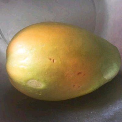 花胶椰奶炖木瓜 2026年花胶椰奶炖木瓜的功效 花胶椰奶炖木瓜 2026年花胶椰奶炖木瓜的功效