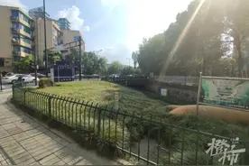 存款的银行早没了，这张1995年的存单，去哪能取出当年的800元年终奖？图片