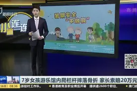 7岁女孩游乐馆内爬栏杆摔落骨折  家长索赔20万元视频封面