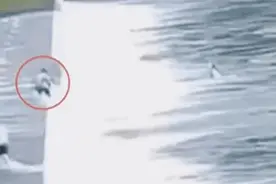 “我也是父亲，无论如何都不会松手”，这个故事原来还有暖暖的后续图片