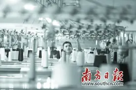 融入双循环 构建新格局图片