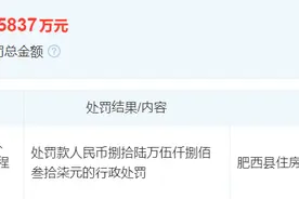 无证施工 安徽新华控股旗下中安恒鑫地产被罚86万余元图片