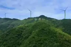 种竹子吸碳吐氧，湖北一群农民已多赚35万元图片