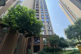 幼童姐弟15楼“坠亡”续：出轨离异父亲涉嫌与女友共谋杀人图片