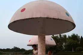 作文大赛初赛作品丨酸是成长的本味图片