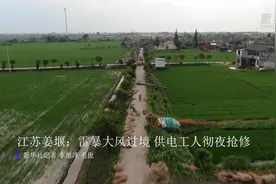 江苏姜堰：雷暴大风过境 供电工人彻夜抢修