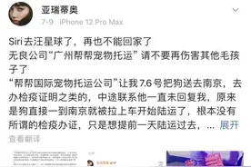 “空运改陆运”致宠物金毛犬死亡？广州花都市场监管部门介入图片