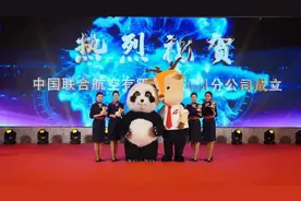 中联航四川分公司正式成立图片