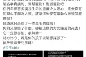 广州市场监管部门介入金毛siri托运案图片