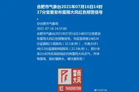 11级大风突袭合肥！正在预警图片