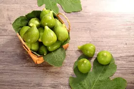 低调开花、高调入药的无花果图片