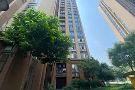 重庆两坠亡幼童生父被捕图片