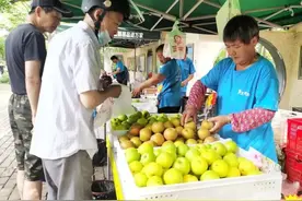 本地产优质水果，在长宁这2处公园销售→图片