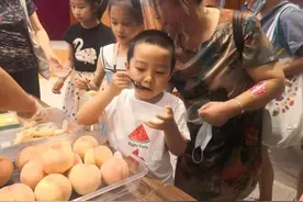 沪产水蜜桃评出最优！近40位市民也是评委，老吃客挑桃经：捏手感、掂重量、闻香气图片