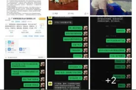 托运公司瞒改托运方式致狗死亡 陈乔恩为金毛siri发声：漠视生命，令人恶心图片