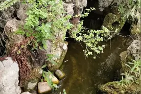 居民家中院墙，突遭相邻工地施工单位拆除图片