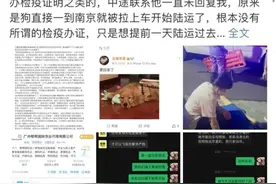 瞒改托运方式致狗死亡，女明星愤怒发声，市监部门介入图片