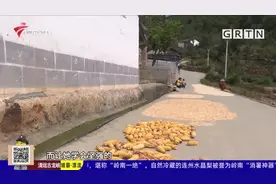 韶关：DNA数据库成功比对 失散30年女子和家人团聚视频封面