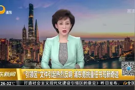 “引领区”文件引起热烈反响 浦东勇挑重任书写新奇迹视频封面