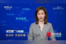 官宣了！12位央视主持人“上新”图片