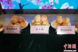 桃乡无锡阳山选“桃王”：看“颜值”更重“内涵”图片