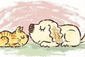 开门见到一只狗的笑脸图片