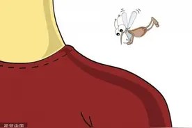 蚊子吸血挑血型？爱叮高智商？真相是这样图片