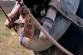 博物志 | 我命由我不由天——在沙漠挖洞的野驴图片