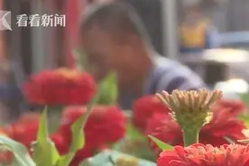 一千多万没了！老人接俩电话 给骗子转账100多次图片