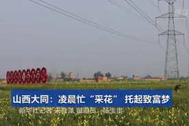 山西大同：凌晨忙“采花” 托起致富梦
